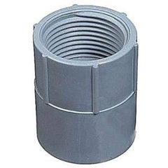 239982846.jpg