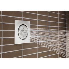 MOEN Moen TS1320NL Mosaic Polished Nickel Body Spray