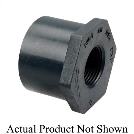 239995067.jpg