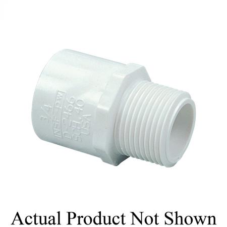 239995799.jpg