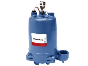 240080009.jpg