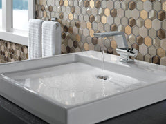 DELTA FAUCET Delta Faucet 79955-SS Pivotal Wall Mount Toilet Tissue Holder in Brilliance Stainless