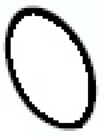 240091118.jpg