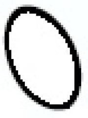 240091118.jpg