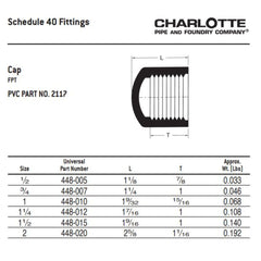 CHARLOTTE PIPE Charlotte Pipe PVC 02117 1000 3/4 in. Female PVC Cap