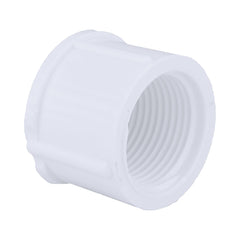 CHARLOTTE PIPE Charlotte Pipe PVC 02117 1000 3/4 in. Female PVC Cap