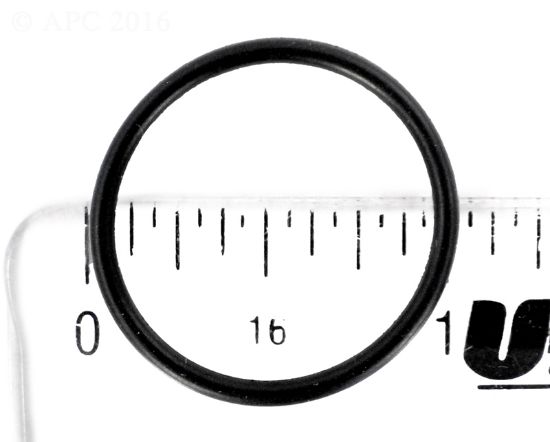 240116202.jpg