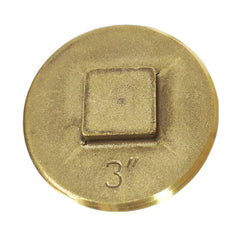 240118844.jpg