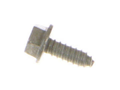 240376035.jpg
