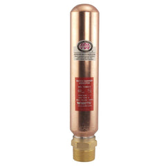 WATTS Watts 0750162 Series LF15M2 1 in. Copper and Plastic NPT Water Hammer Arrestor