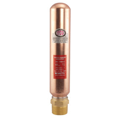 WATTS Watts 0750162 Series LF15M2 1 in. Copper and Plastic NPT Water Hammer Arrestor