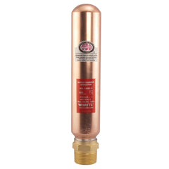 WATTS Watts 0750162 Series LF15M2 1 in. Copper and Plastic NPT Water Hammer Arrestor