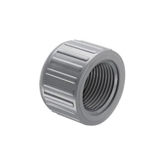 WINSTON BASICS Winston Basics 848-005C 1/2 CPVC S80 THRD CAP
