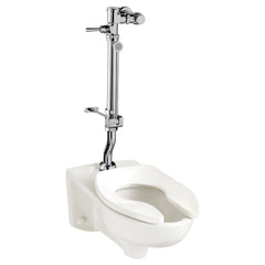 AMERICAN STANDARD STANDARD 6047821.002 Ultima Manual Flush Valve with Bedpan Washer