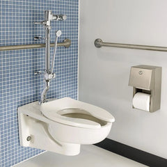 AMERICAN STANDARD STANDARD 6047821.002 Ultima Manual Flush Valve with Bedpan Washer