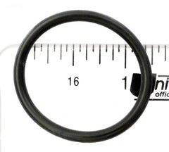 240467742.jpg