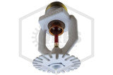 240471339.jpg