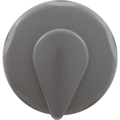 ZODIAC Zodiac 25099-001-000 Slim Gunite Spa Air Control Gray Fits Inside 1.5In Pipe
