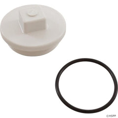 ZODIAC Zodiac 25525-000-000 2-inch Plug with O-ring