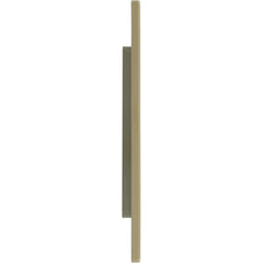 ZODIAC Zodiac 25540-039-020 Skimmer Face Plate Cover Tan