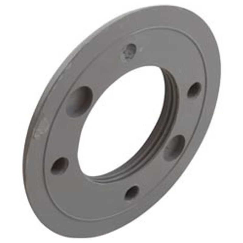ZODIAC Zodiac 25546-001-000 Threaded Pool Return Faceplate Gray Vinyl