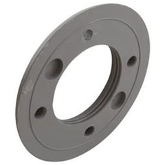 ZODIAC Zodiac 25546-001-000 Threaded Pool Return Faceplate Gray Vinyl