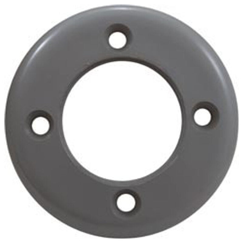 ZODIAC Zodiac 25546-001-000 Threaded Pool Return Faceplate Gray Vinyl