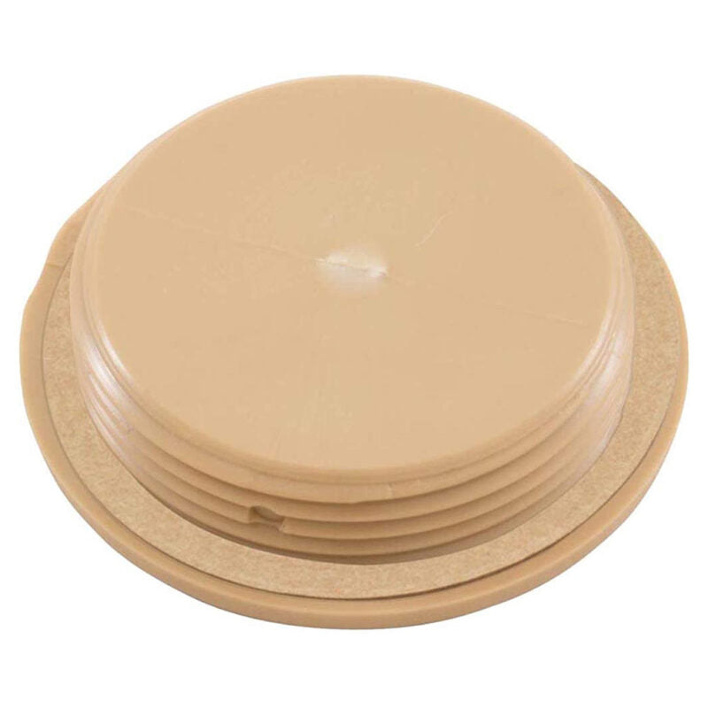 ZODIAC Zodiac 25542-500-000 1.5-inch NPT Extended Thread Flat Plug