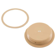 ZODIAC Zodiac 25542-500-000 1.5-inch NPT Extended Thread Flat Plug