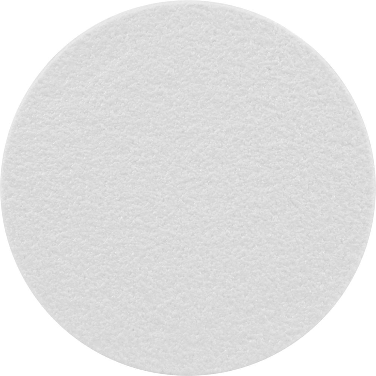 ZODIAC Zodiac 25544-020-010 Skimmer Lid Logo Insert Blank White Replacement MPN 389922