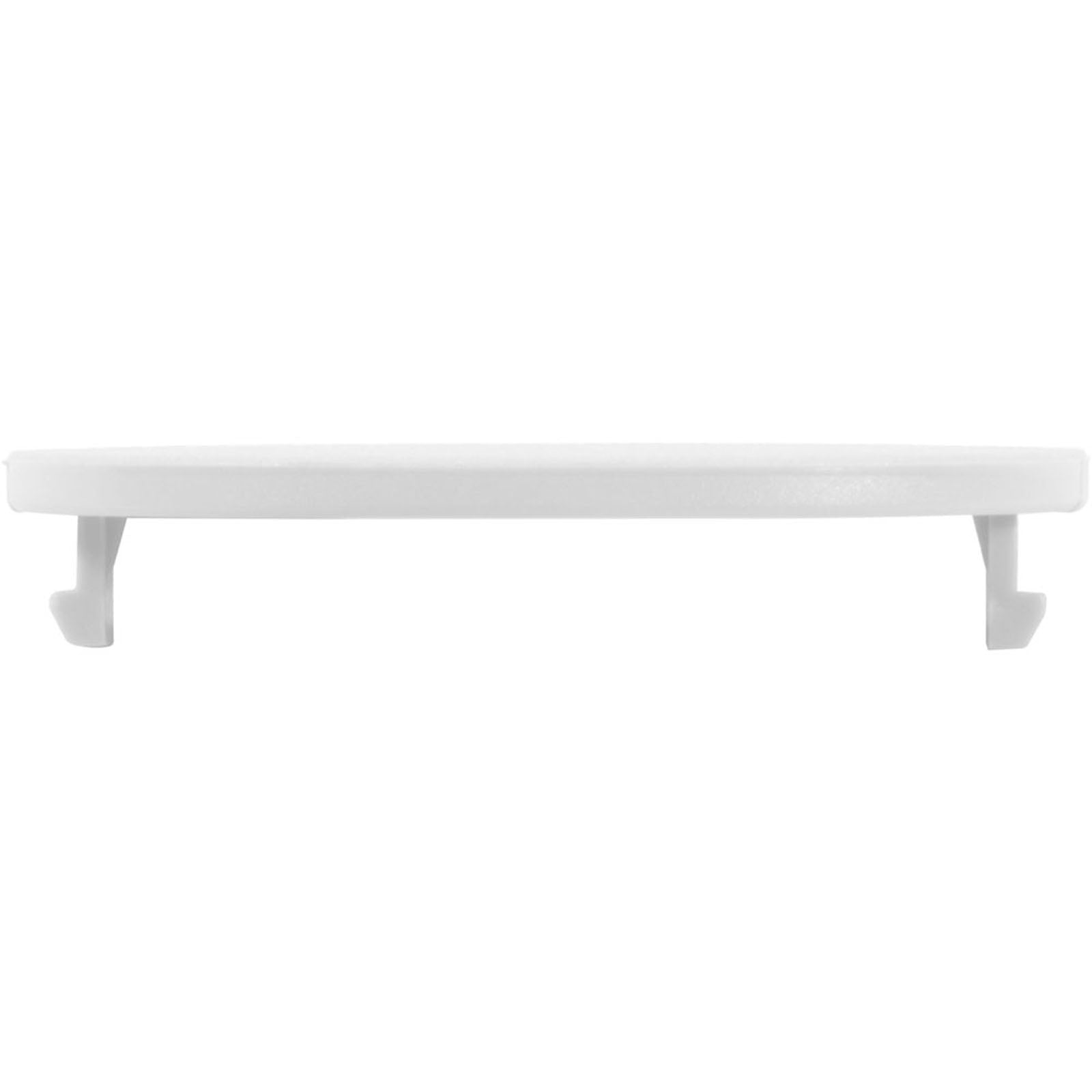 ZODIAC Zodiac 25544-020-010 Skimmer Lid Logo Insert Blank White Replacement MPN 389922