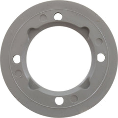 ZODIAC Zodiac 25545-001-000 Vinyl Pool Return Faceplate - Gray