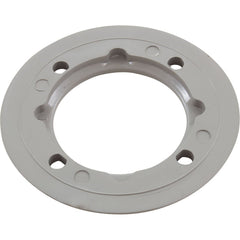 ZODIAC Zodiac 25545-001-000 Vinyl Pool Return Faceplate - Gray