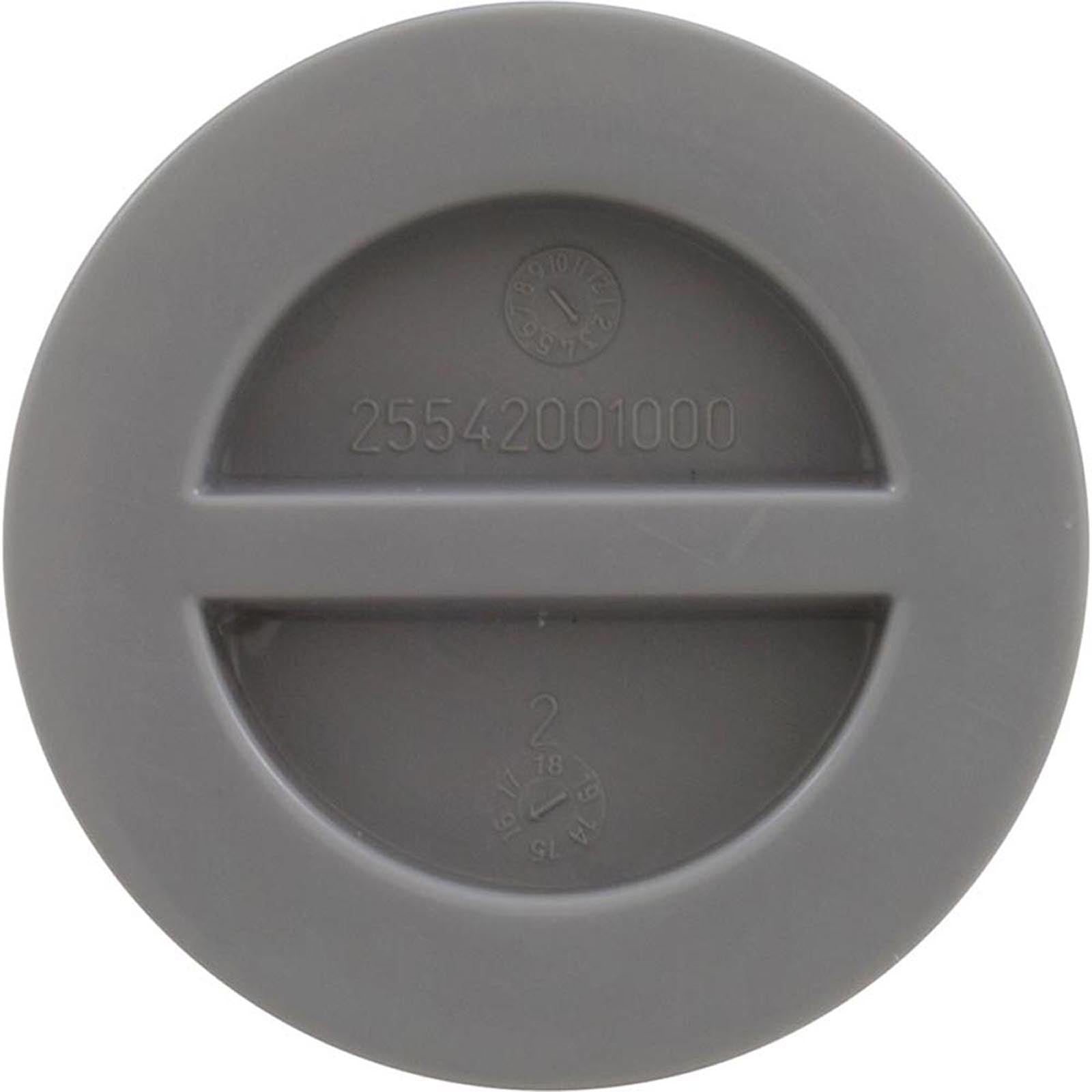 ZODIAC Zodiac 25542-001-000 CMP 1.5In NPT Flat Plug