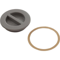 ZODIAC Zodiac 25542-001-000 CMP 1.5In NPT Flat Plug
