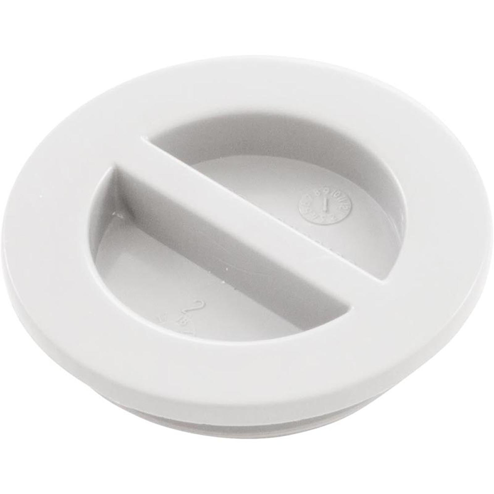 ZODIAC Zodiac 25542-000-000 1.5-inch NPT Flat Plug with Gasket