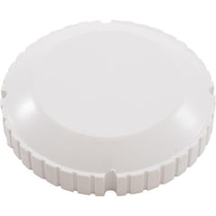 ZODIAC Zodiac 25552-020-300 Threaded Cap Flow Outlet White