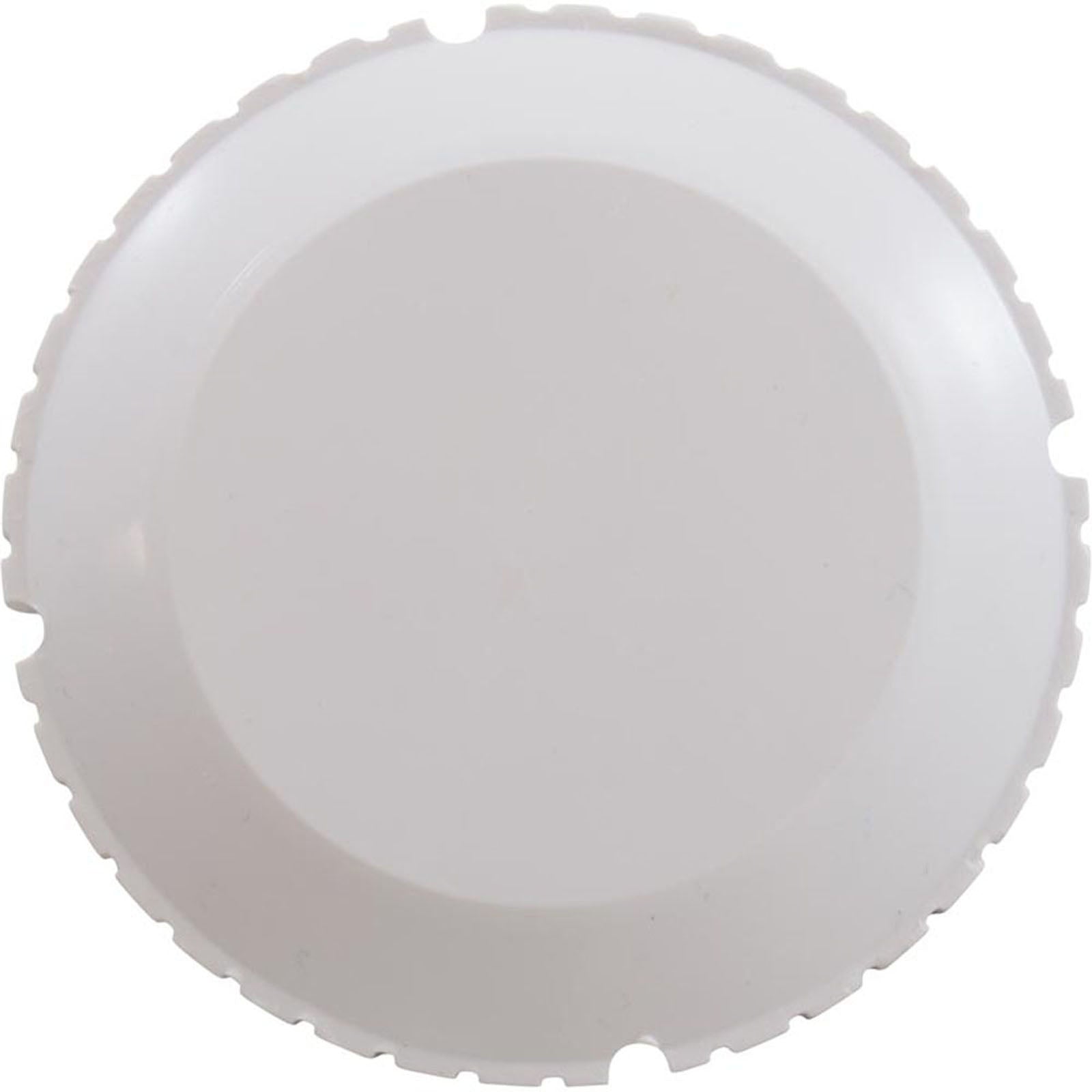 ZODIAC Zodiac 25552-020-300 Threaded Cap Flow Outlet White