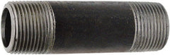 NIPPLES NIPPLES 0332637206 Steel Pipe Nipple, 2 in Size, 4 in Length