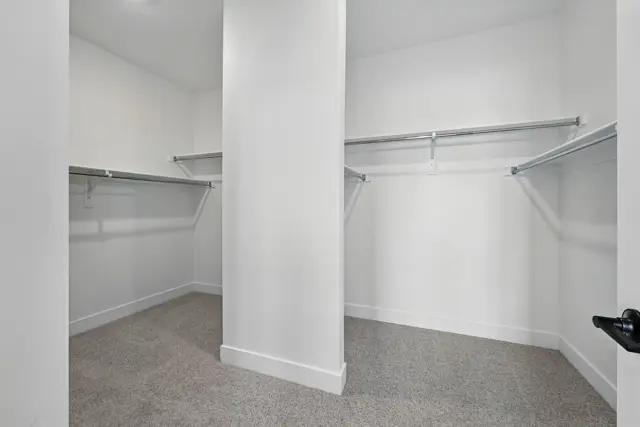 240482282.jpg