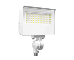 RAB LIGHTING RAB LIGHTING X22-35W 5-Way Selectable Floodlight