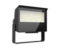 RAB LIGHTING RAB LIGHTING X22-35W 5-Way Selectable Floodlight