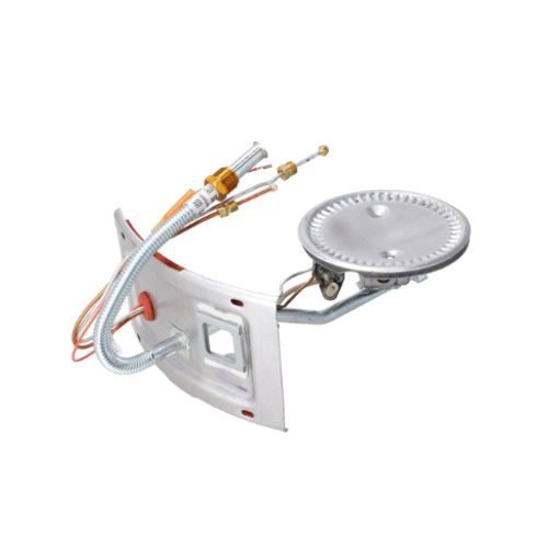 RHEEM Rheem SP41880 Burner Assembly Kit