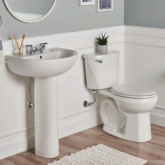 AMERICAN STANDARD GROHE 0467400.020 22-Inch Evolution Pedestal Sink