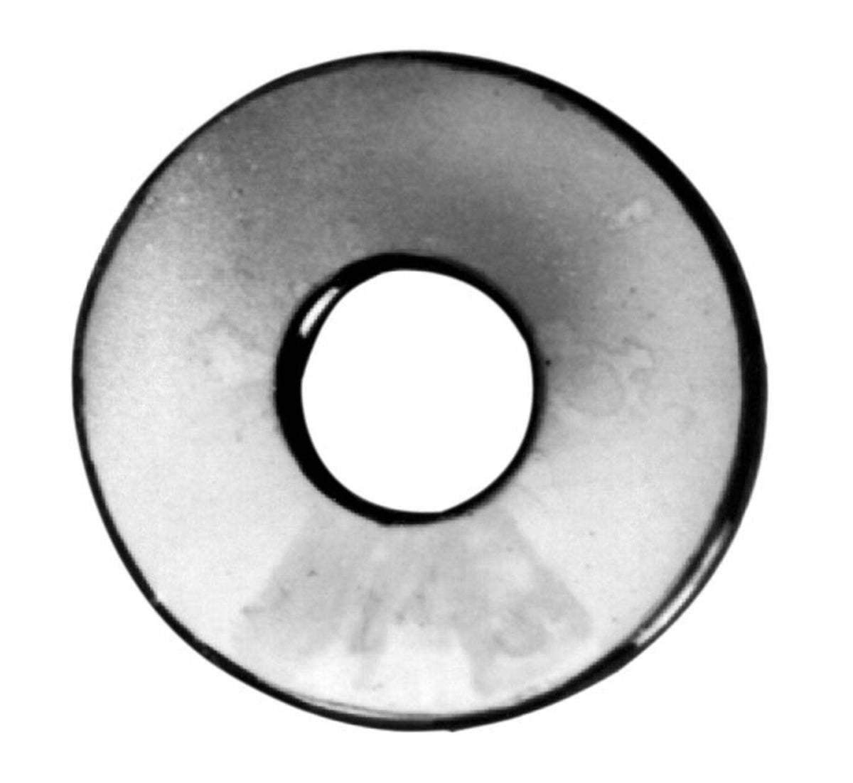 240498018.jpg
