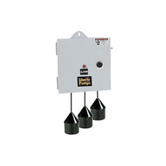 LIBERTY LIBERTY AE21L=3 Duplex Pump Control Panel