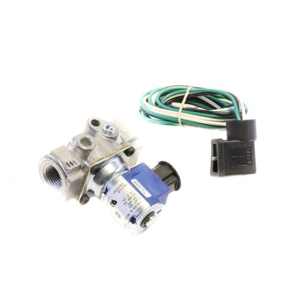 BASO BASO H91DA-8CREVB Automatic Gas Valve