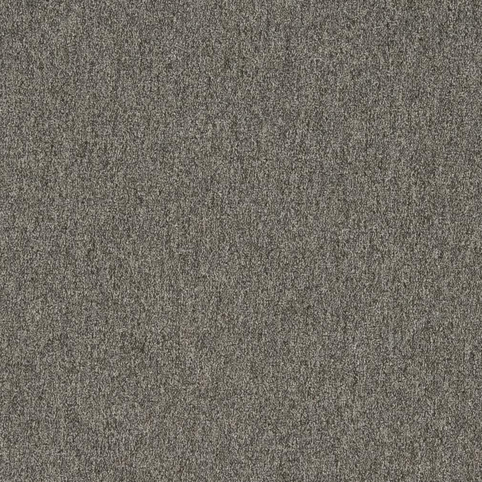 240509485.jpg