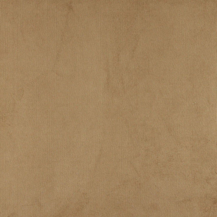 240509496.jpg