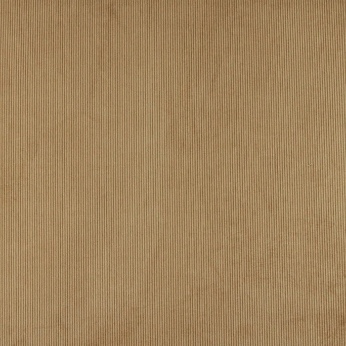 240509497.jpg